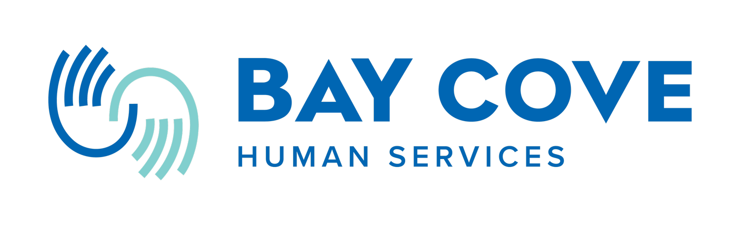 BayCove-horizlogo_primary.png